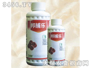 21%��-�R���ͣ������