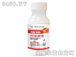 ����ؔ�������S����