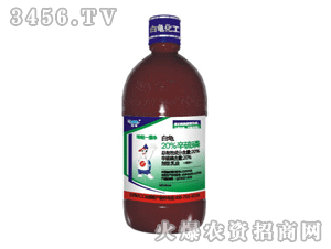 ����20%�����ף�����һ������