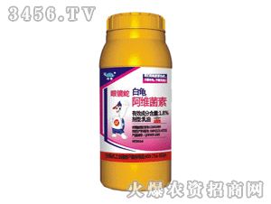 �������R�ߣ����S���أ�