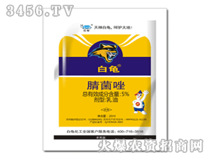 ����-�����