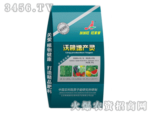 �Ӽ���-�ָ����a�`