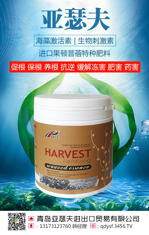 ���弤����������̼���