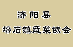 濟(jì)陽(yáng)縣垛石鎮(zhèn)蔬菜協(xié)會(huì)