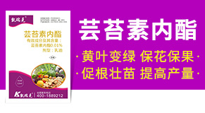 �ӱ��P����r(n��ng)�I(y��)�Ƽ����޹�˾