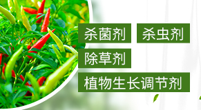 �L(zh��ng)�����L(zh��ng)�p�r(n��ng)ˎ���޹�˾�����ְ��r(n��ng)�����r(n��ng)ˎ���޹�˾��