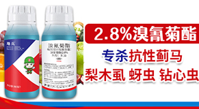 �����ܿ����пƻ������޹�˾