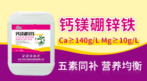 ɽ�|��������Ƽ����F(tu��n)���޹�˾