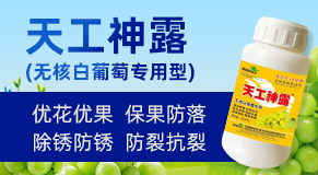 ɽ��������������Ƽ����޹�˾