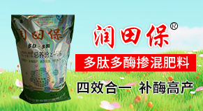 ���u���(y��ng)�r(n��ng)�I(y��)���g(sh��)���޹�˾