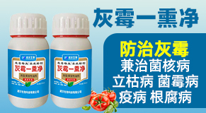 �Z������Ƽ����޹�˾