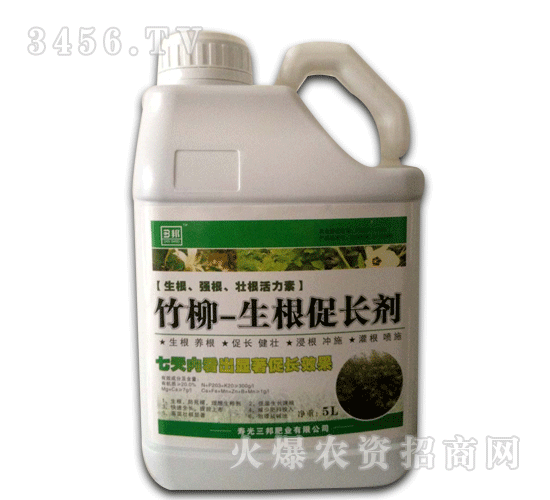 ��ʘI-����-�������L��