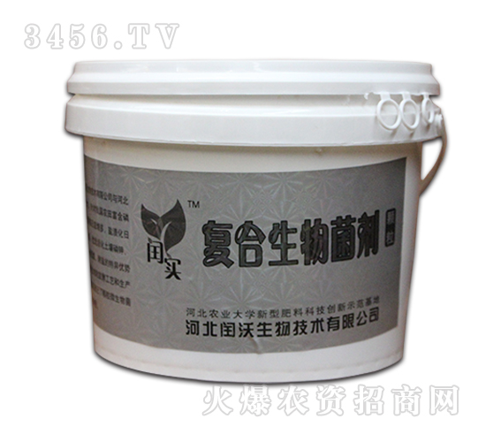 �ͺ��������-�c��