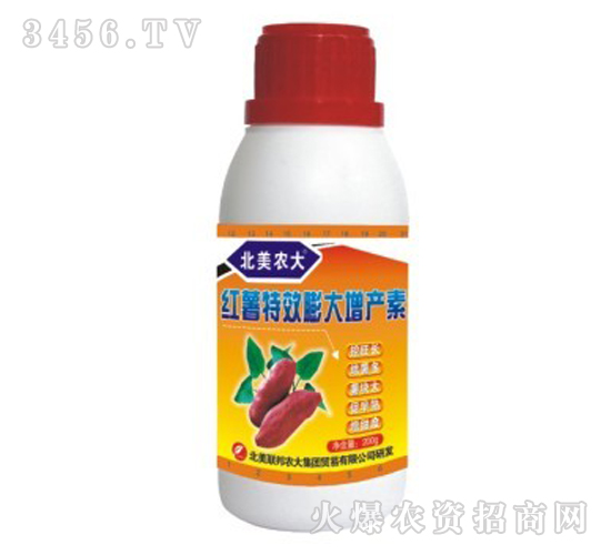 �t����Ч������a��-�����r��