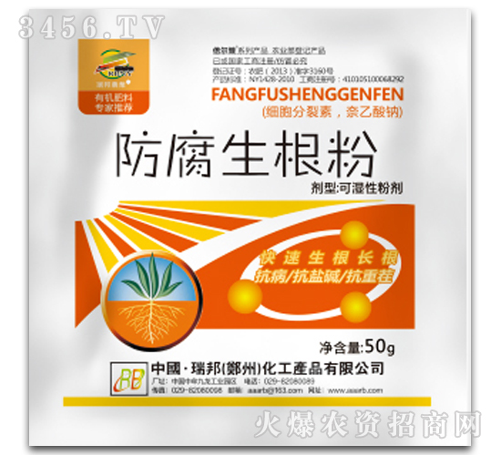 ���������ۣ��{������-�������