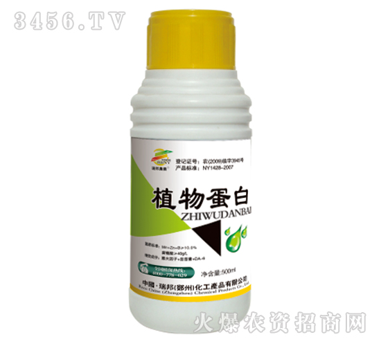 ֲ�ﵰ�ף��{������-�������