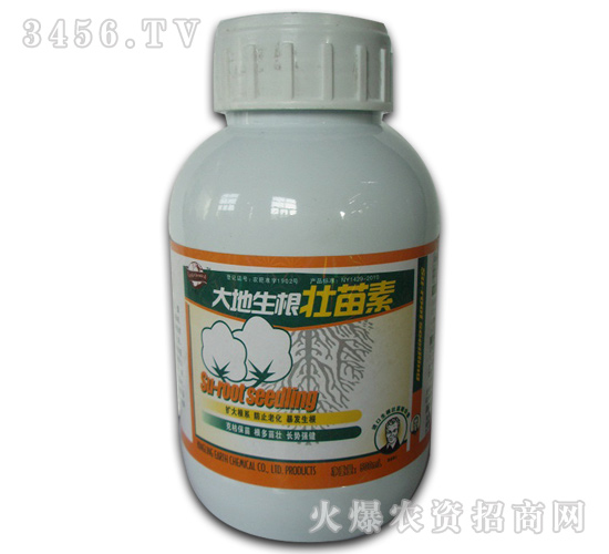 �޻������{����-�������������-�W��˹