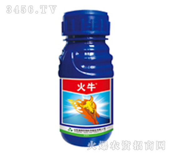 ��ţ���݄�-�G��