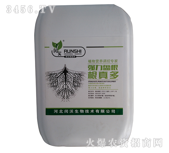 ֲ���{����-�����-�Z��