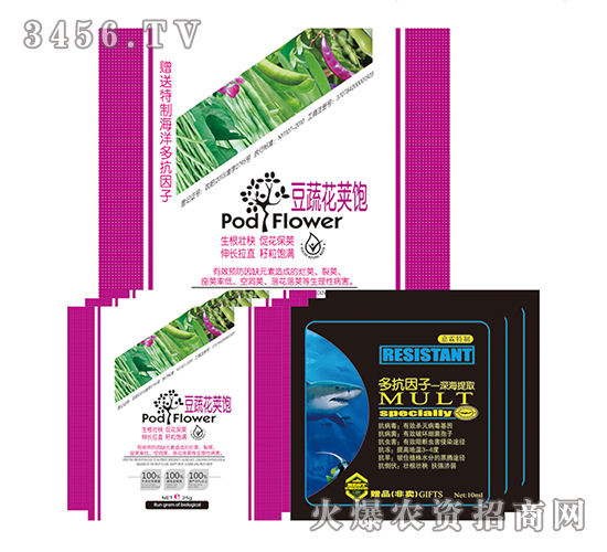 ���߻��v�-����-�����f��