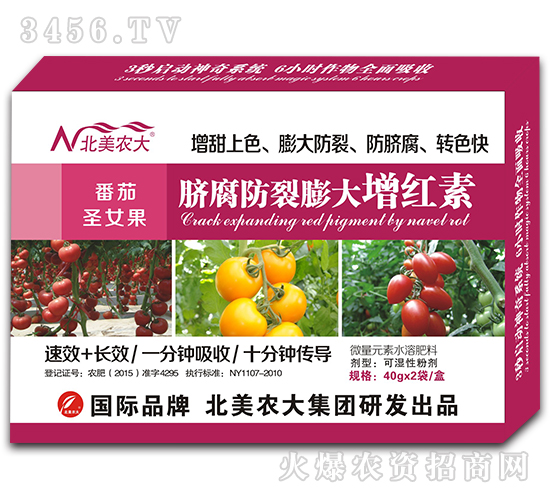 ����ʥŮ��Ě������������t��-�����r��