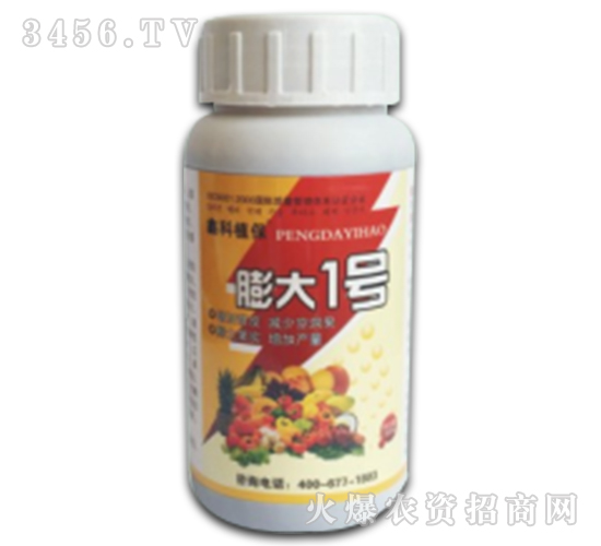 ֲ���{����-���һ̖-�ο�ֲ��