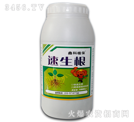 ������-������-�ο�ֲ��