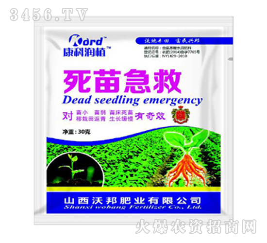 �{����-���缱��-�ְ�