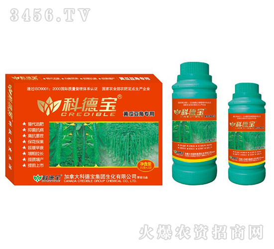 �S�϶��ǌ��àI�B���a�{�턩-�Ƶ�