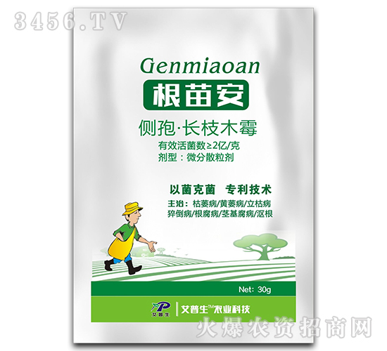 ��(c��)�ߡ��L֦ľù΢��ɢ����-���簲-������