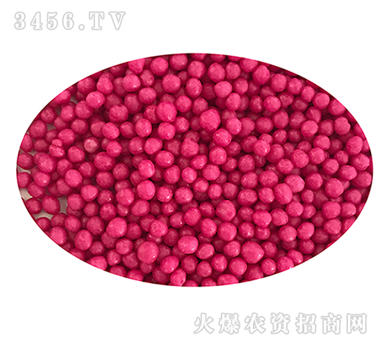 ��֬��Ĥ���أ��t��-���r�ʘI