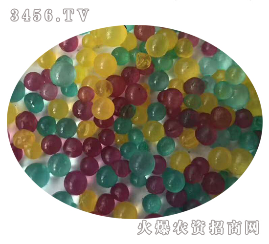 ��������w������ɫ��-���r�ʘI