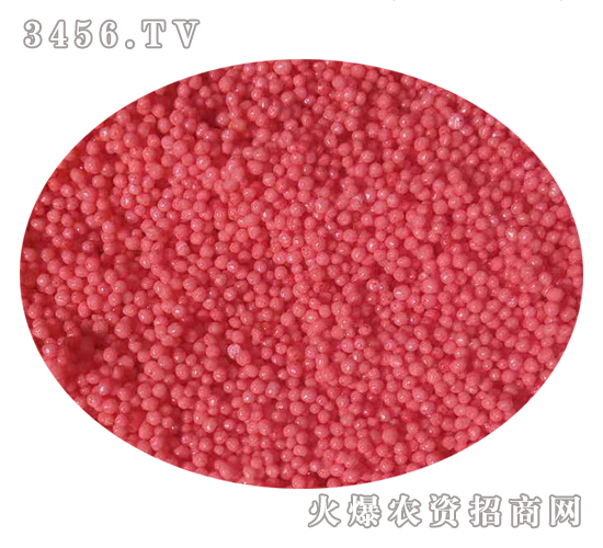 �������С�w�����t��-���r�ʘI