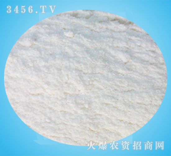 ��ʮ�鴼���-ꖹⴺ��