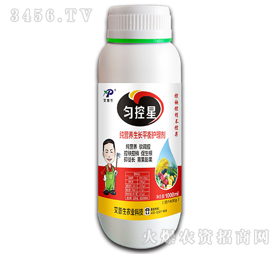 ���I�B���Lƽ���o�턩-�����-������