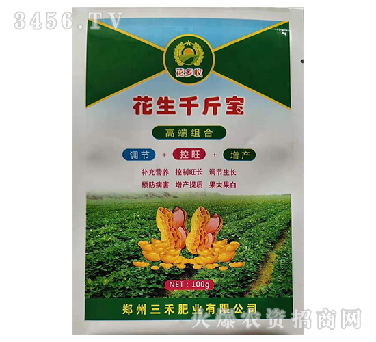 ����ǧ�-������-���̷ʘI