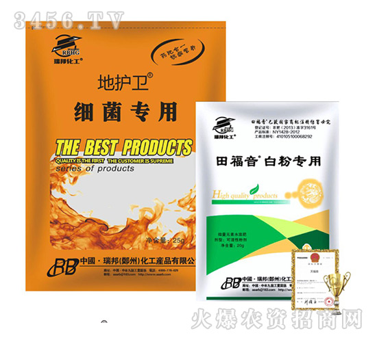 �︣��+���o�l-����