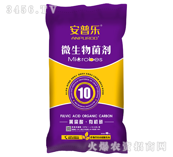 10�|�S�����ЙC̼΢����������ۄ���-���՘�-�f�����B