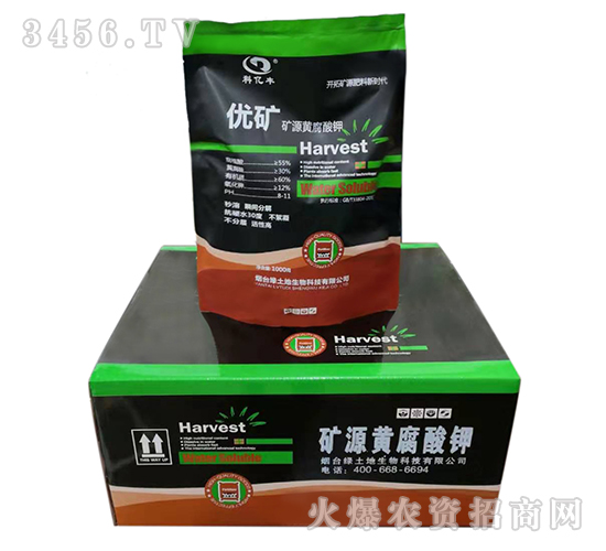 �VԴ�S�����-���V-�G����