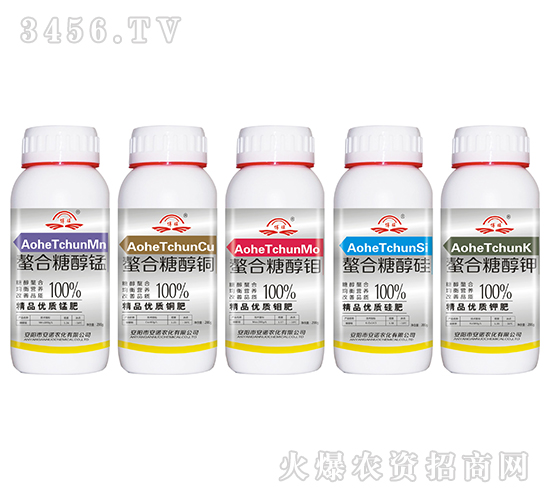 �����Ǵ��-���Z