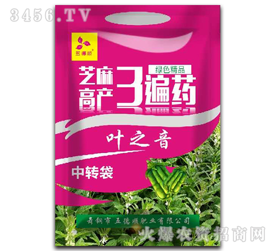 ֥��߮a3��ˎ-�~֮��-����