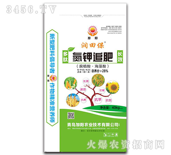 ���׷��24-0-4-���ﱣ-���