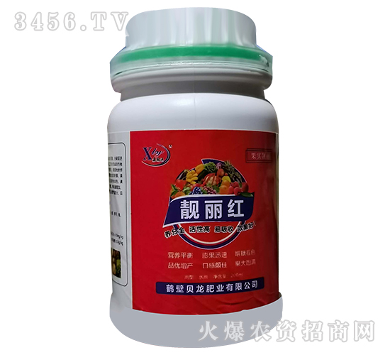 �n���t-ؐ���ʘI