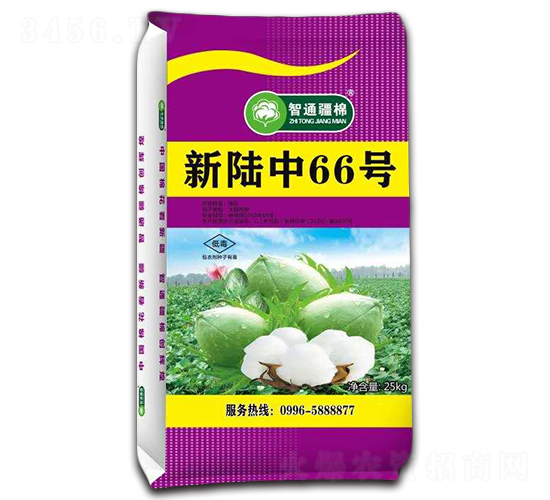 新陸中66號-棉花種子-冠王花