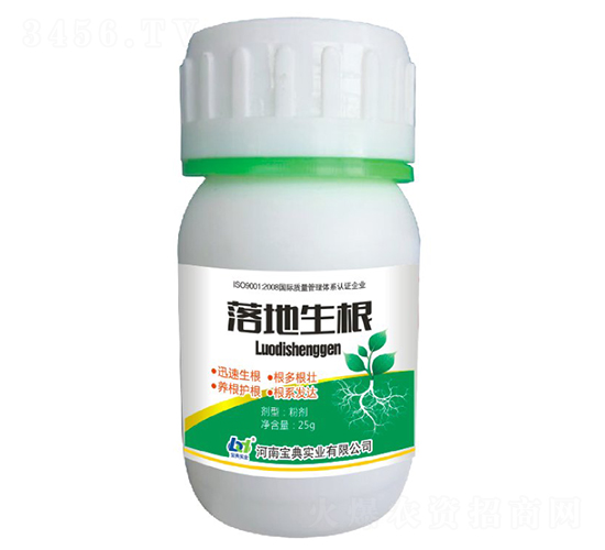 �������-���䌍�I