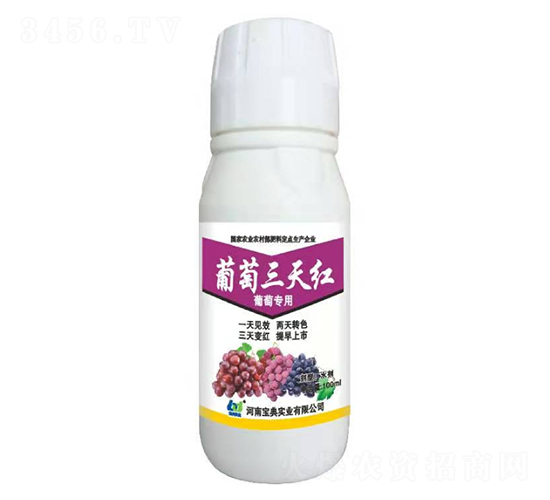 ��������t-���䌍�I