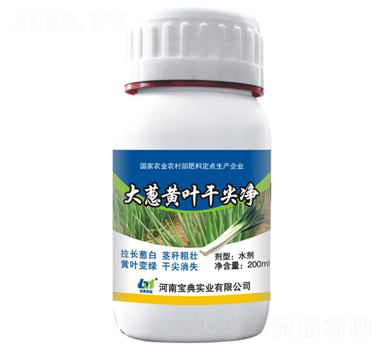 大蔥黃葉干尖凈-寶典實業