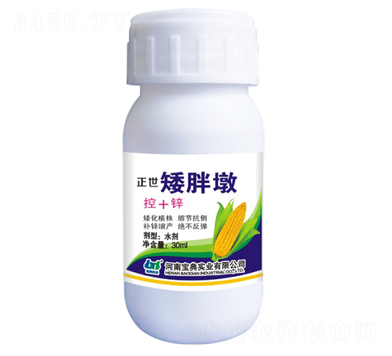 �������ֶգ���+�\��-���䌍�I