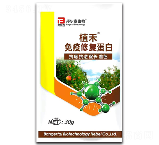 �����ޏ͵���-ֲ��-�̩