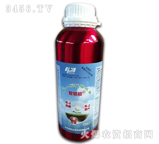 �����Xƿ-�����